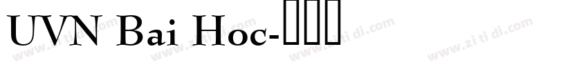 UVN Bai Hoc字体转换